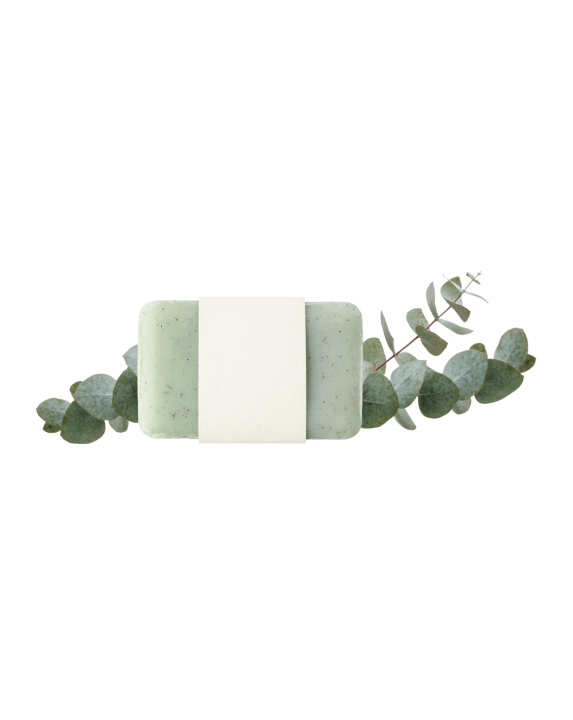 Xà phòng bạc hà xanh